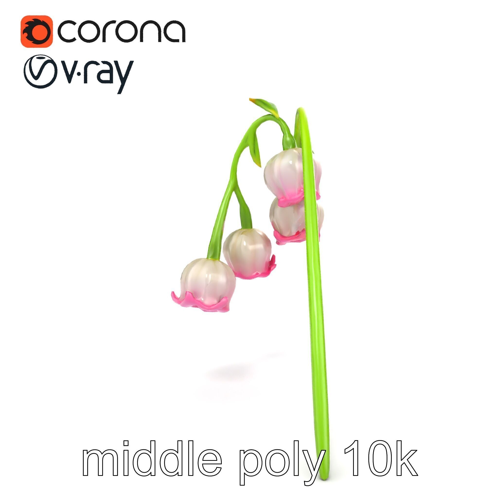 Bicolor Lily of the Valley model pack Low-poly 3D model_21