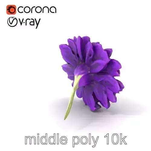 Dianthus Purple Flower model pack Low-poly 3D model