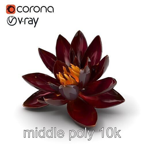 Black Water Lily Nymphaea model pack Low-poly 3D model
