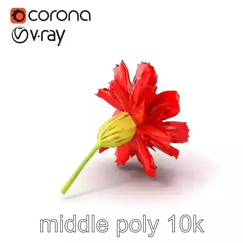 Dianthus Red Flower Model Pack Low-poly 3D model