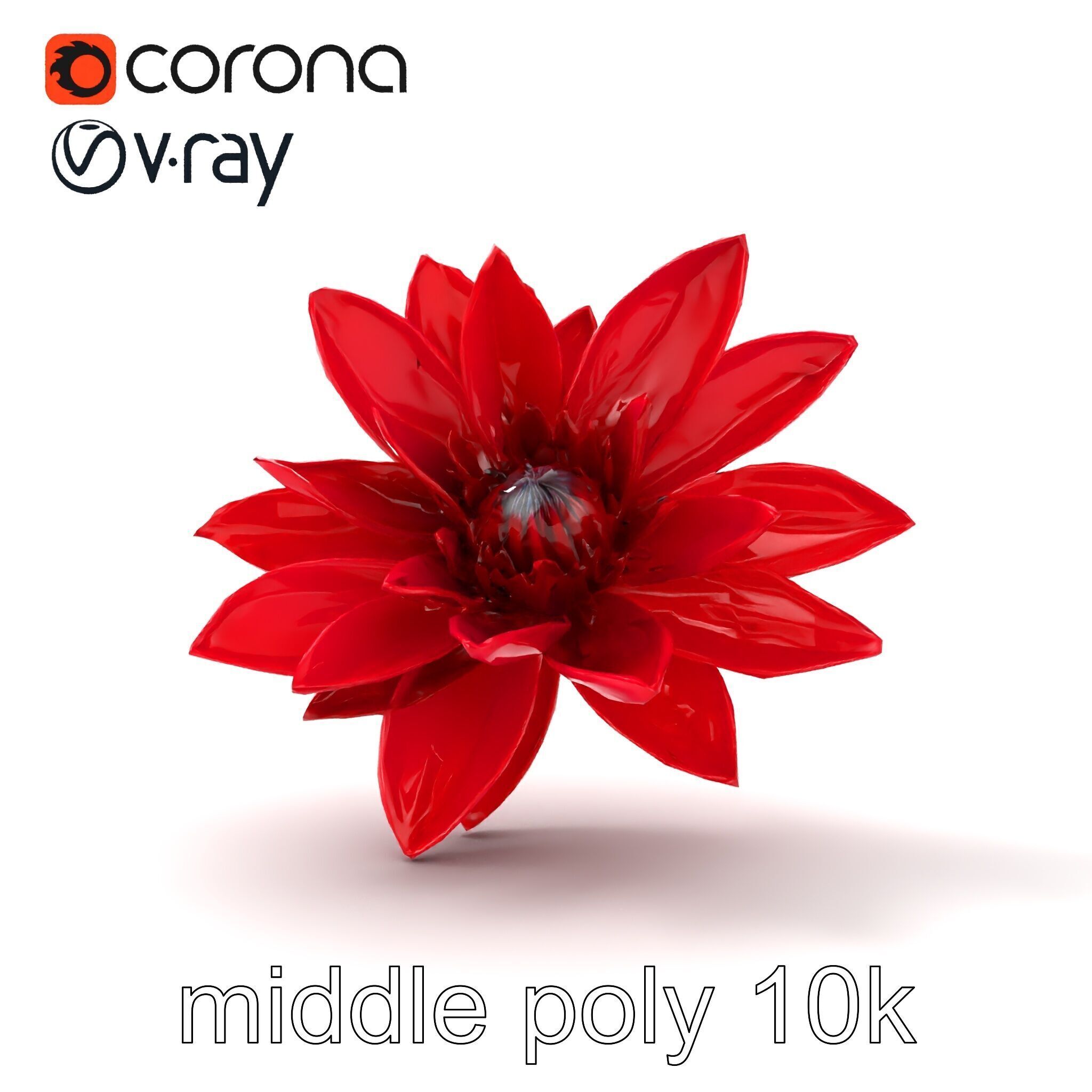 Red Water Lily Nymphaea Model Pack Low-poly 3D model_25