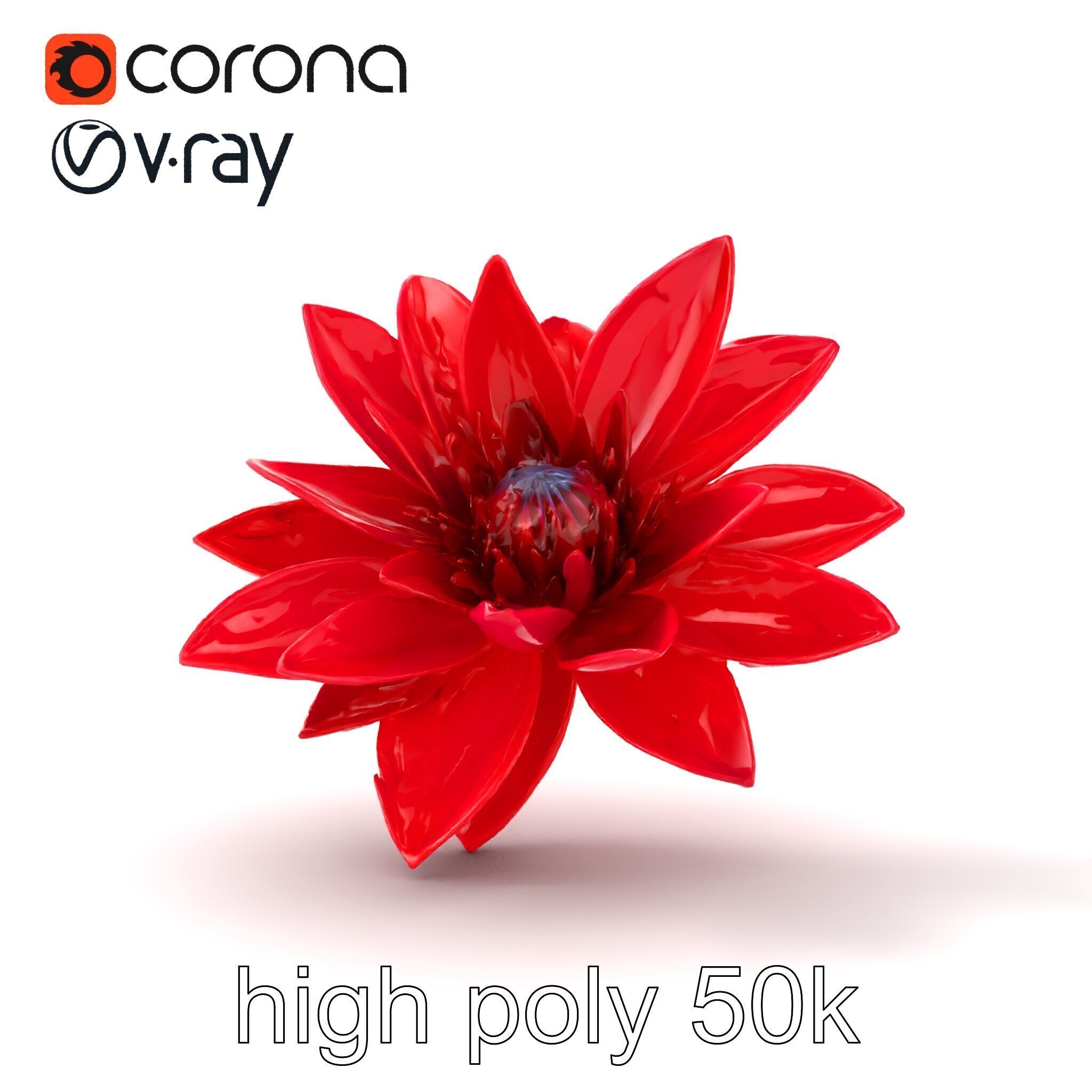 Red Water Lily Nymphaea Model Pack Low-poly 3D model_20