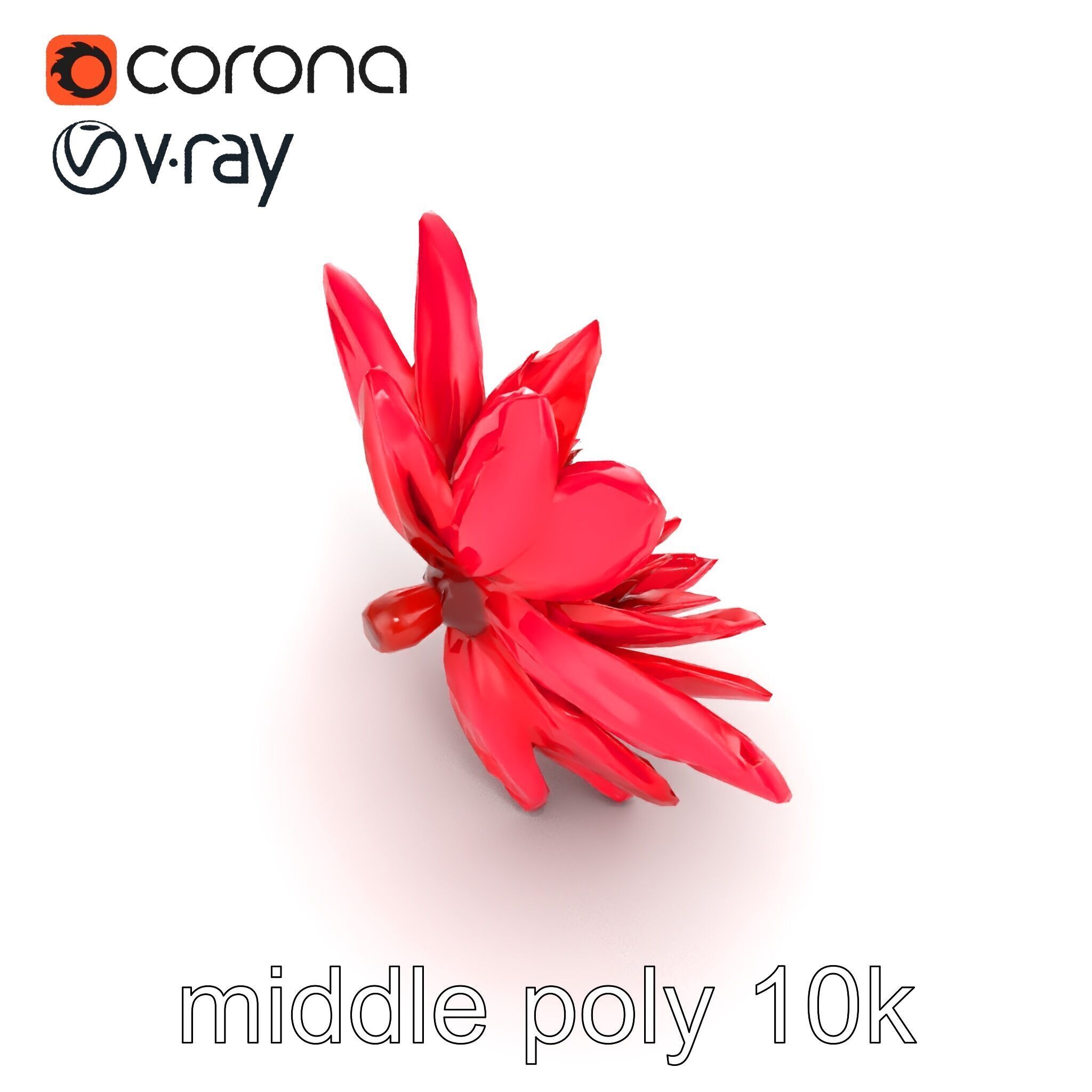 Red Water Lily Nymphaea Model Pack Low-poly 3D model_11