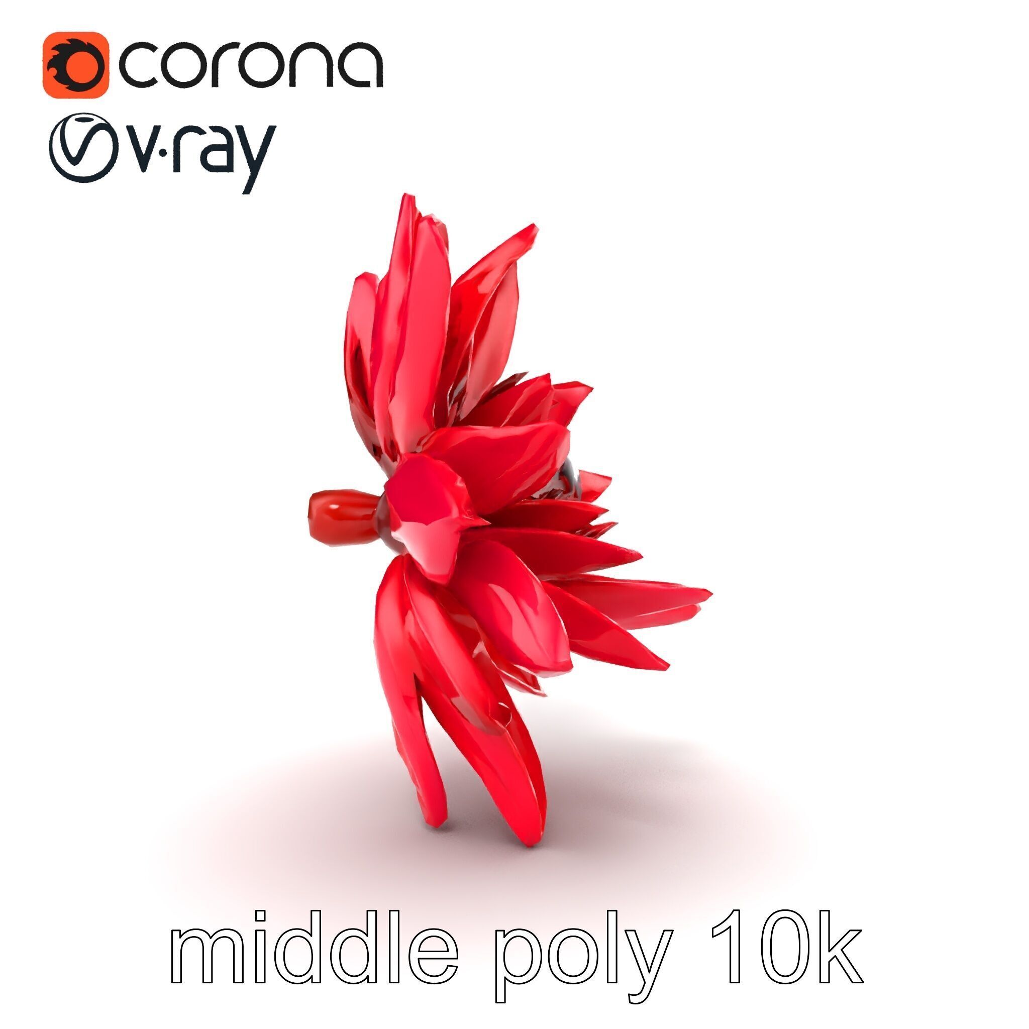 Red Water Lily Nymphaea Model Pack Low-poly 3D model_27