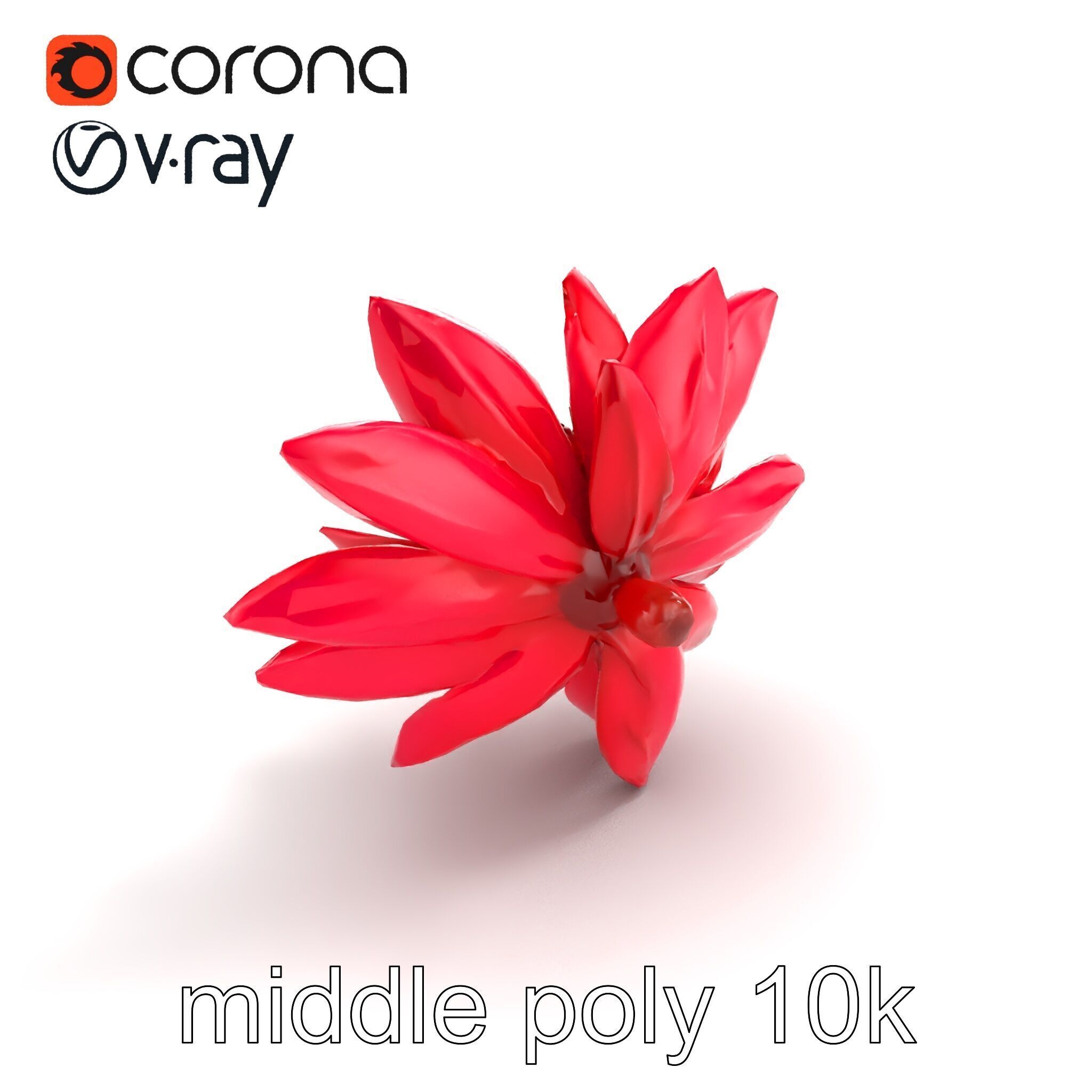 Red Water Lily Nymphaea Model Pack Low-poly 3D model_7