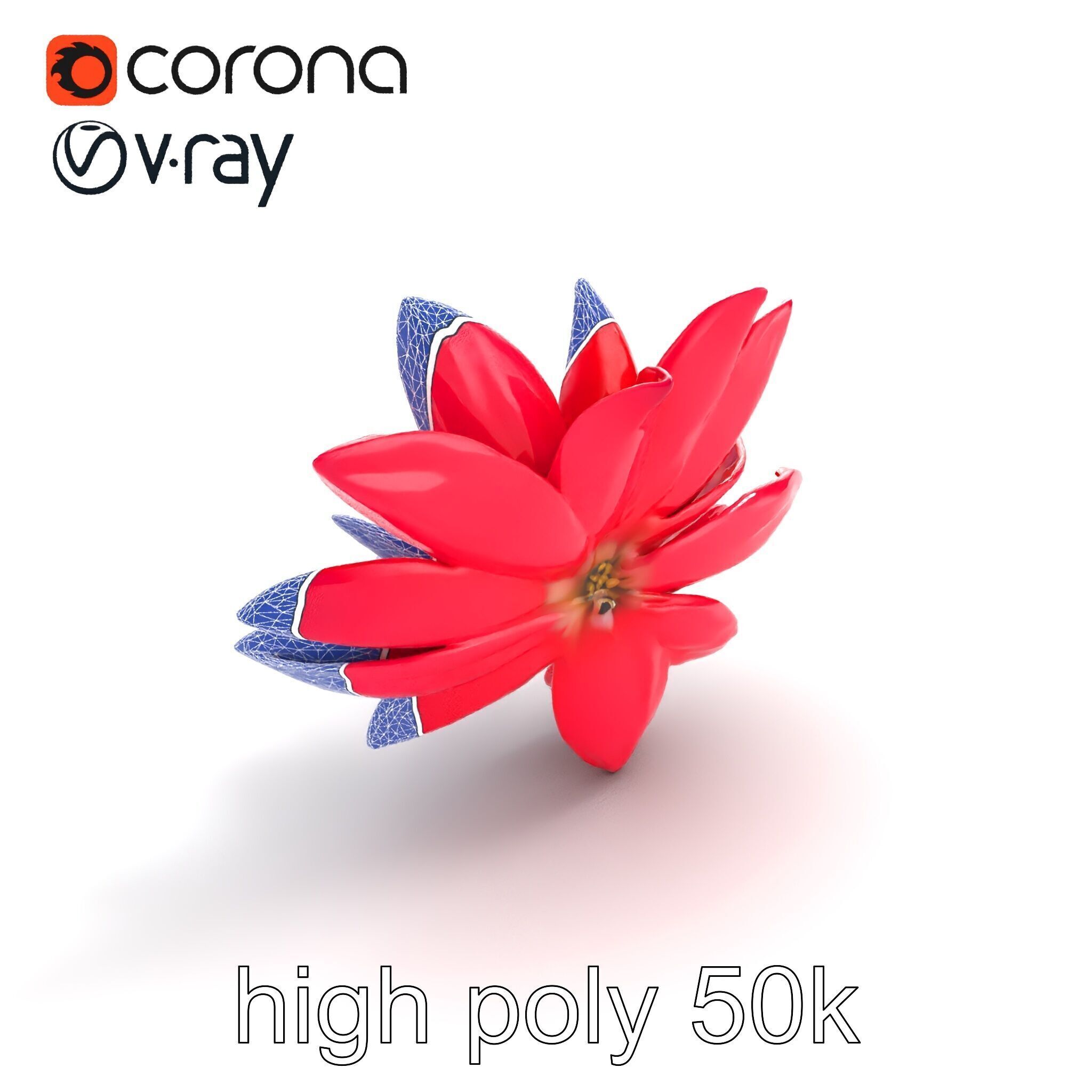 Red Water Lily Nymphaea Model Pack Low-poly 3D model_12