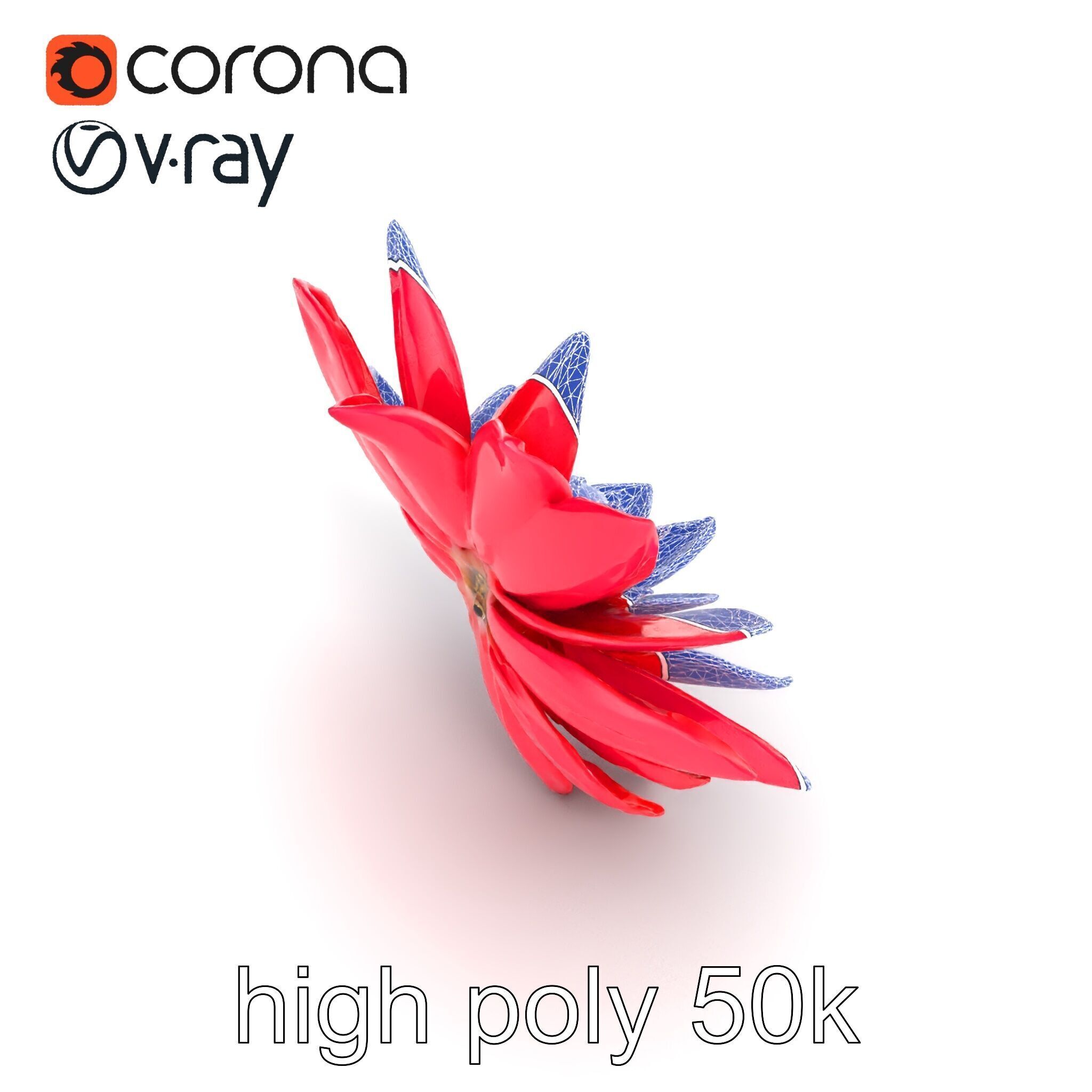 Red Water Lily Nymphaea Model Pack Low-poly 3D model_18