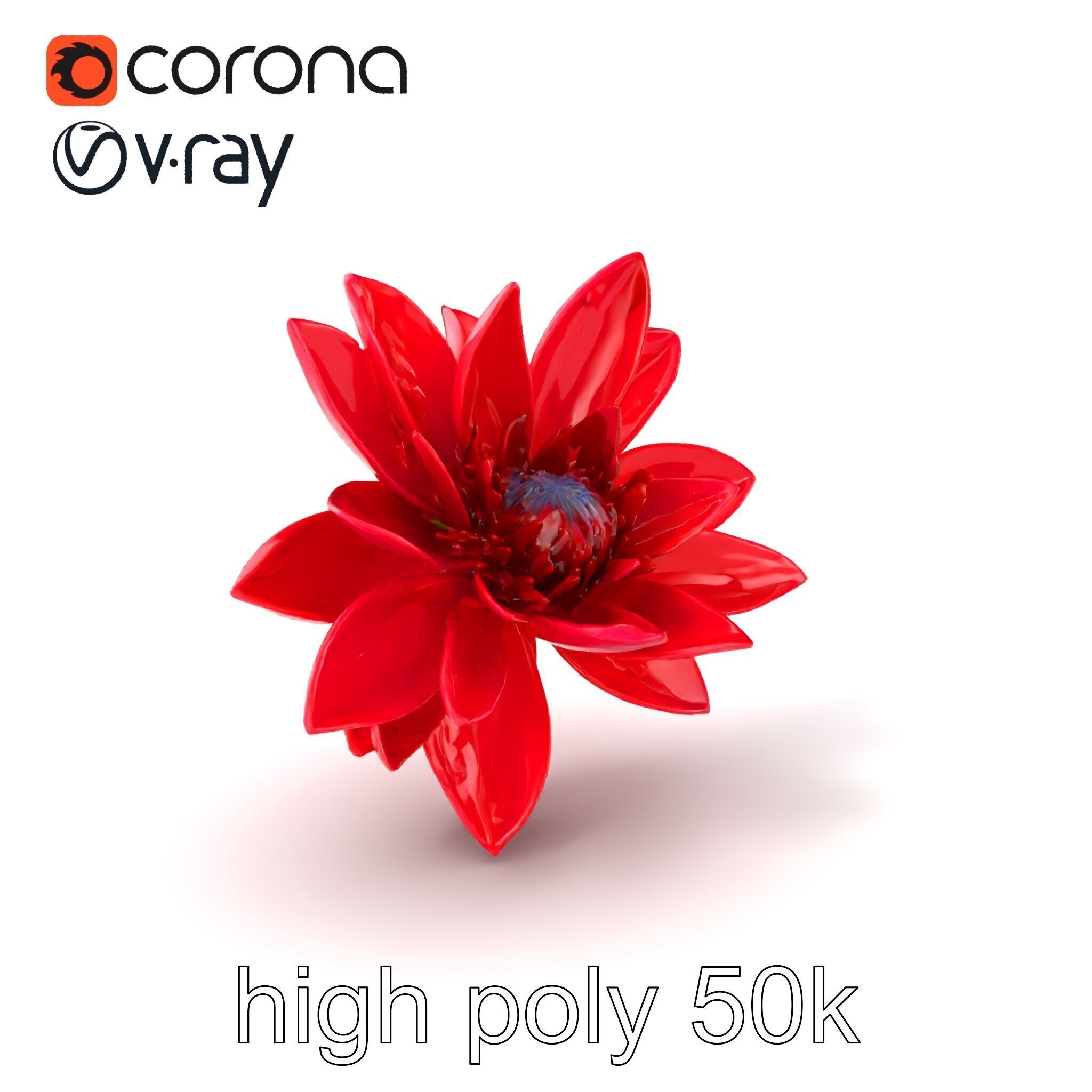 Red Water Lily Nymphaea Model Pack Low-poly 3D model_2