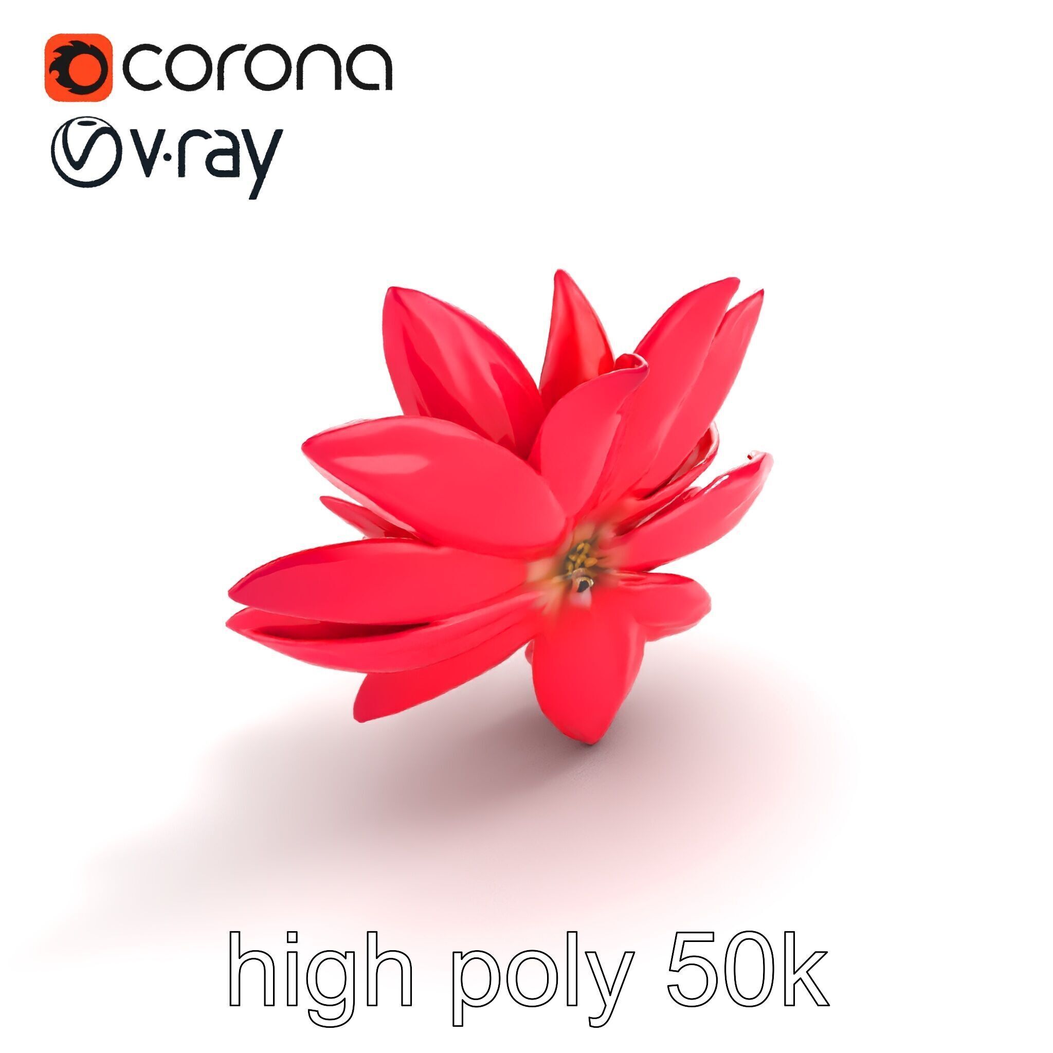 Red Water Lily Nymphaea Model Pack Low-poly 3D model_9