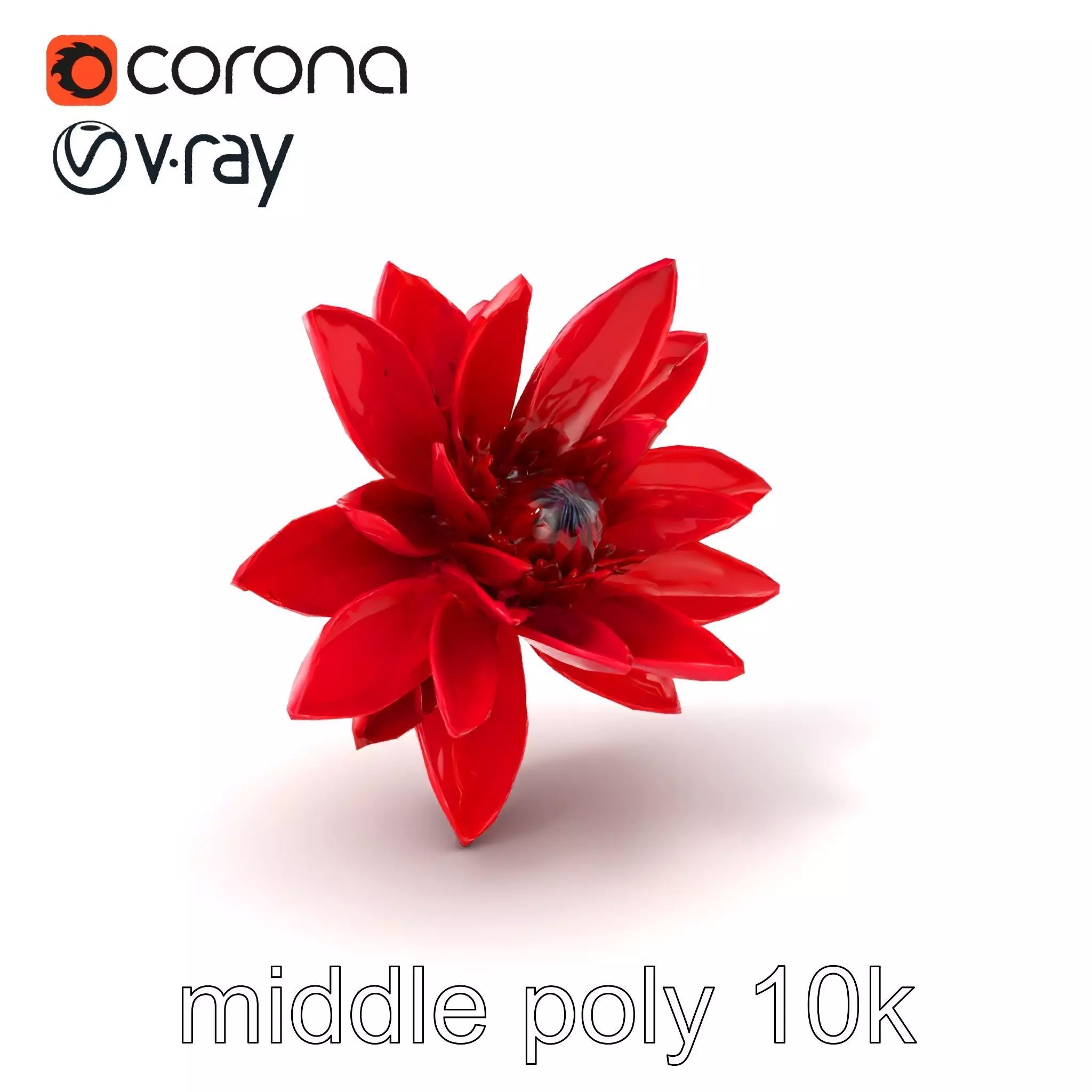 Red Water Lily Nymphaea Model Pack Low-poly 3D model_0