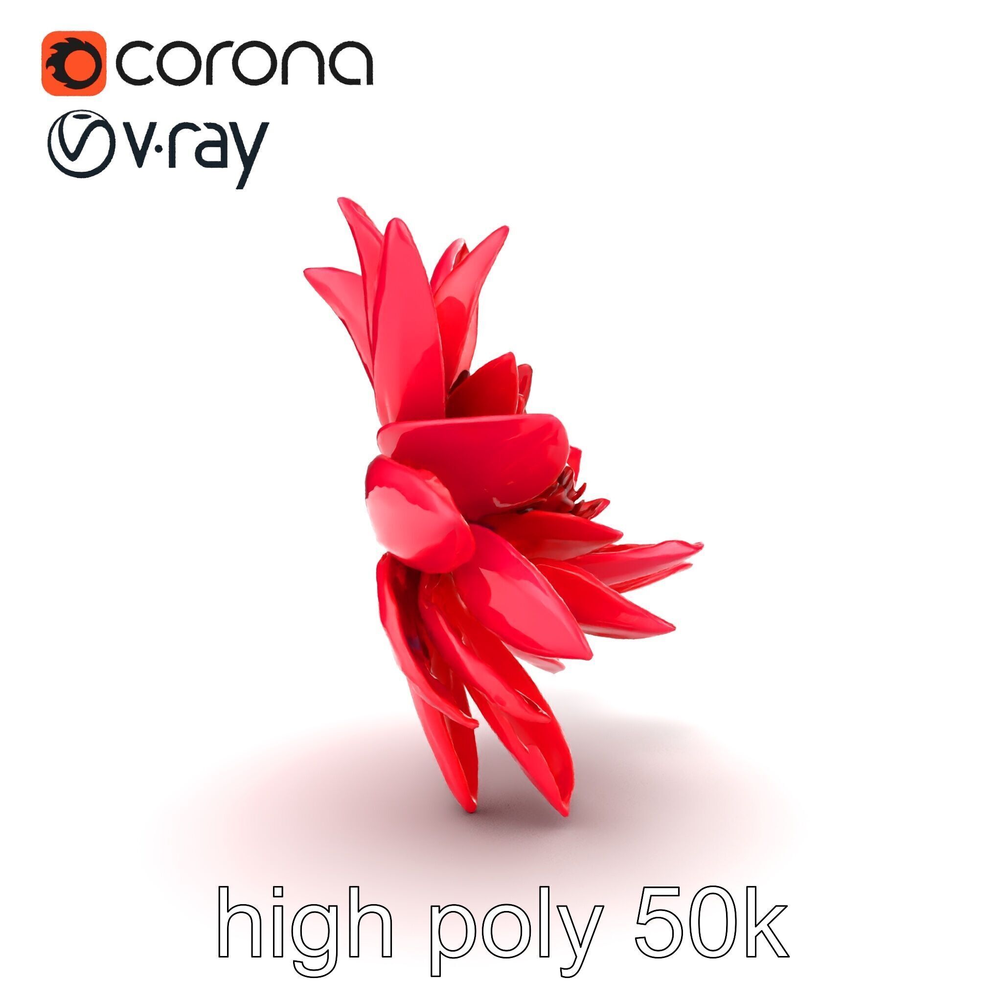 Red Water Lily Nymphaea Model Pack Low-poly 3D model_22