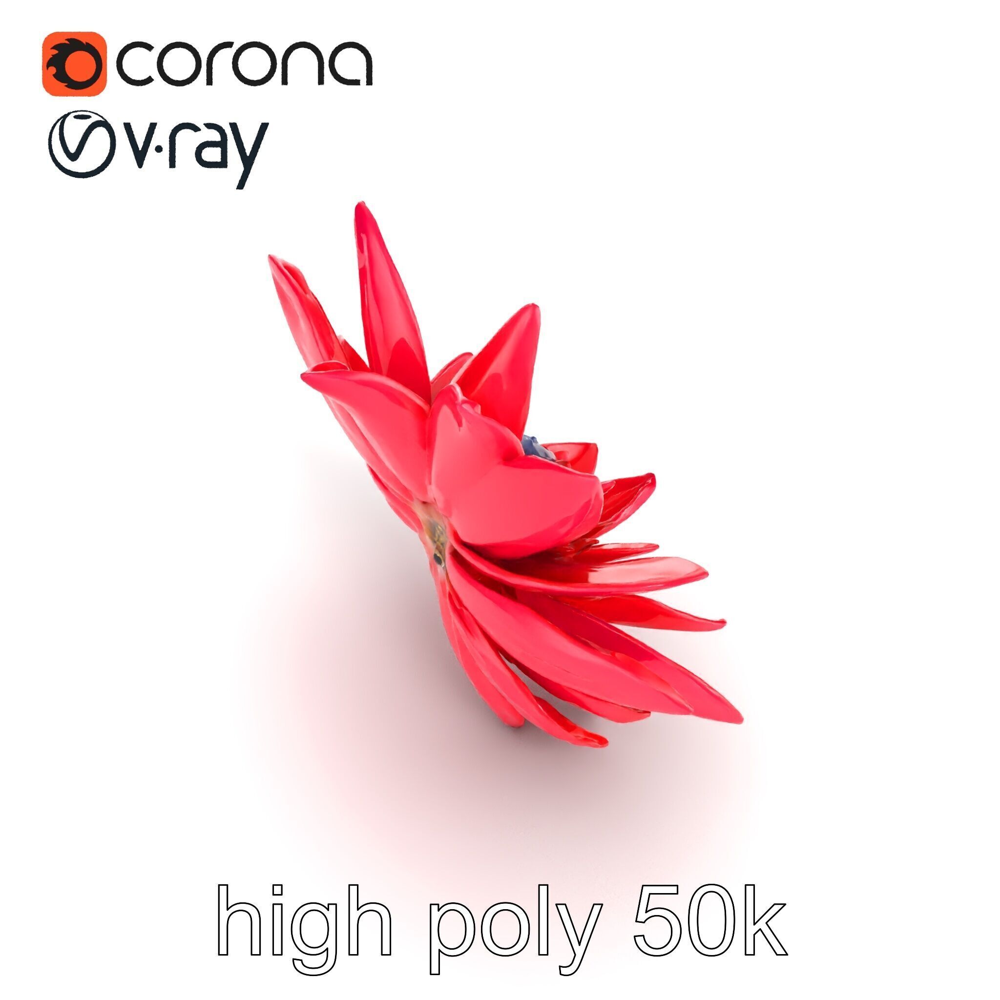 Red Water Lily Nymphaea Model Pack Low-poly 3D model_17