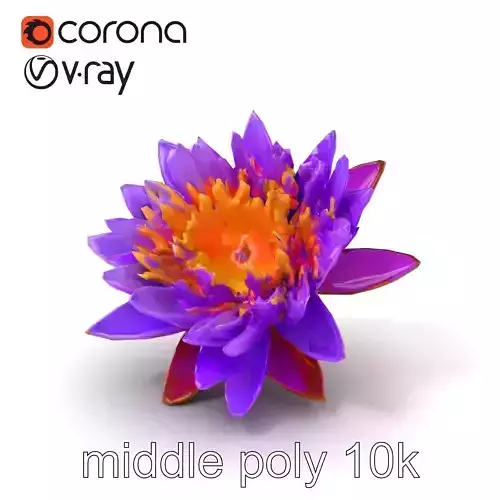 Violet Water Lily Nymphaea Violacea model pack