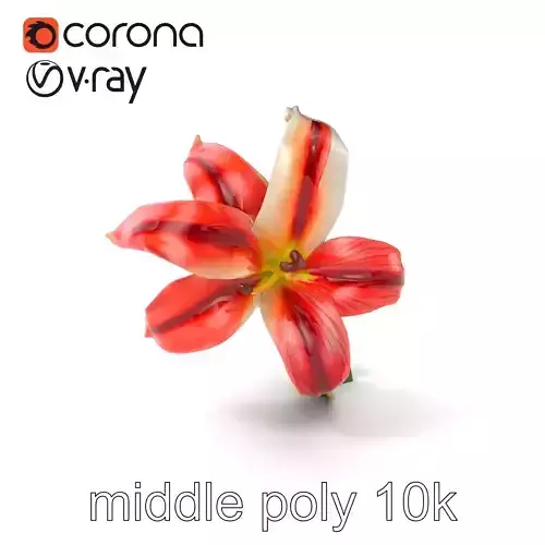 Realistic Lily Flower Model Pack with Diverse Textures