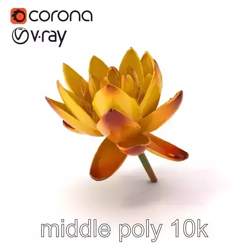 Yellow Water Lily Model Pack - Realistic Aquatic Details