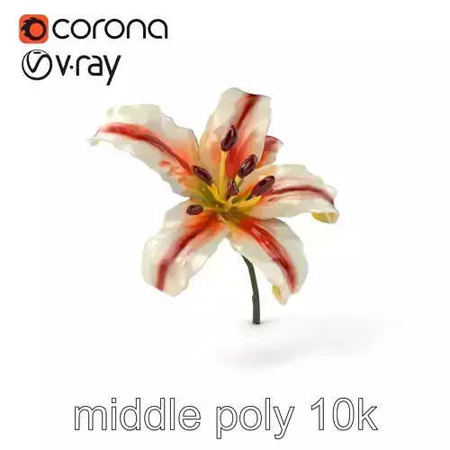 Oriental Lily Flower Realistic Detailed model pack