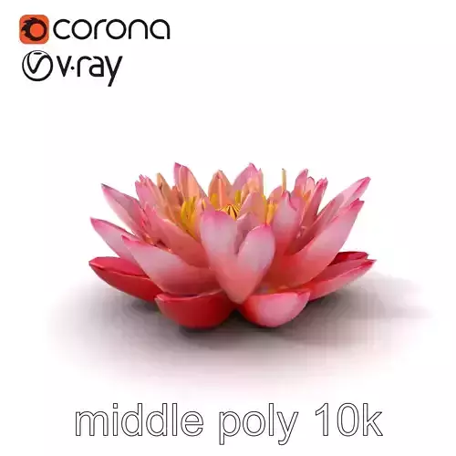 Light Pink Water Lily Detailed Natural Curvature model pack Low-poly 3D model