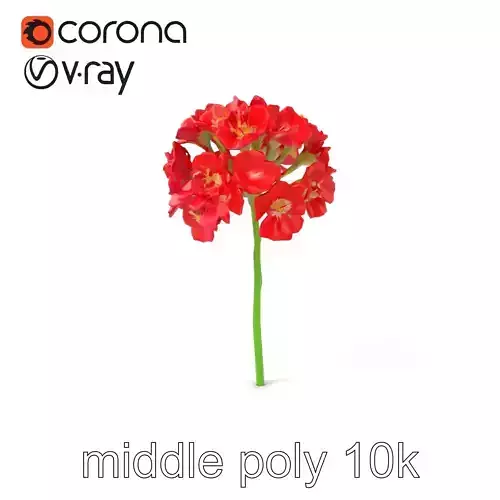 Dianthus Minor Blossom Vibrant model pack Low-poly 3D model