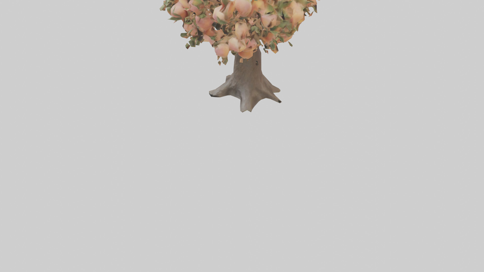 Peach tree model Low-poly 3D model_5