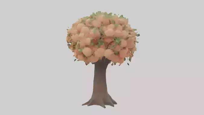 Peach tree model