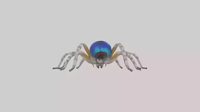 Peacock Spider displaying model Low-poly 3D model