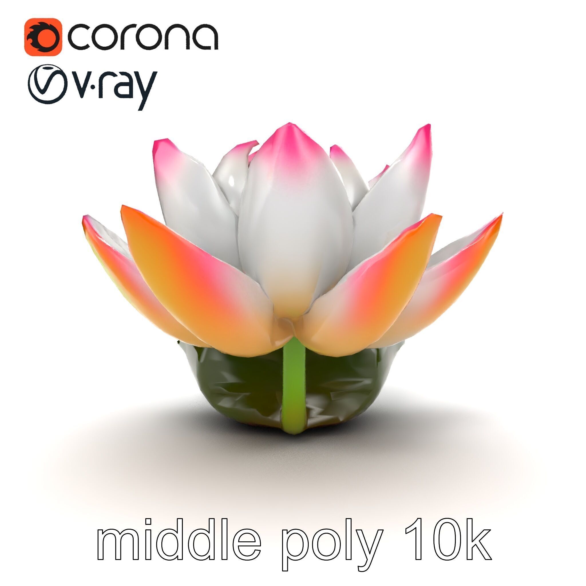 Tiger Water Lily Nymphaea Lotus Detailed Texture Model Pack Low-poly 3D model_13