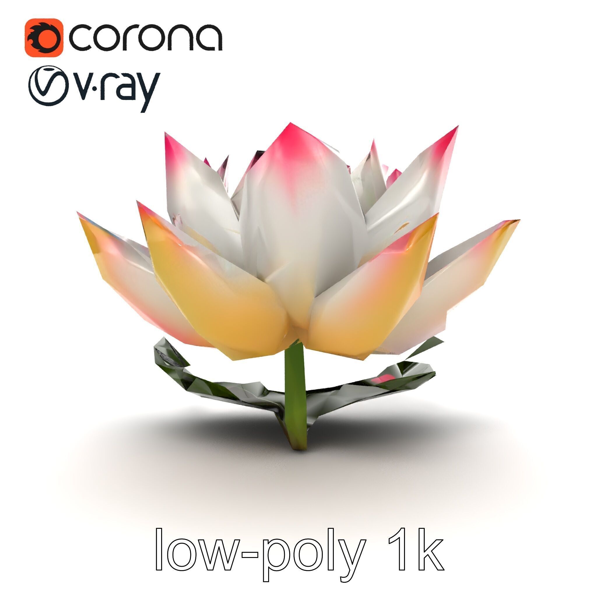 Tiger Water Lily Nymphaea Lotus Detailed Texture Model Pack Low-poly 3D model_14