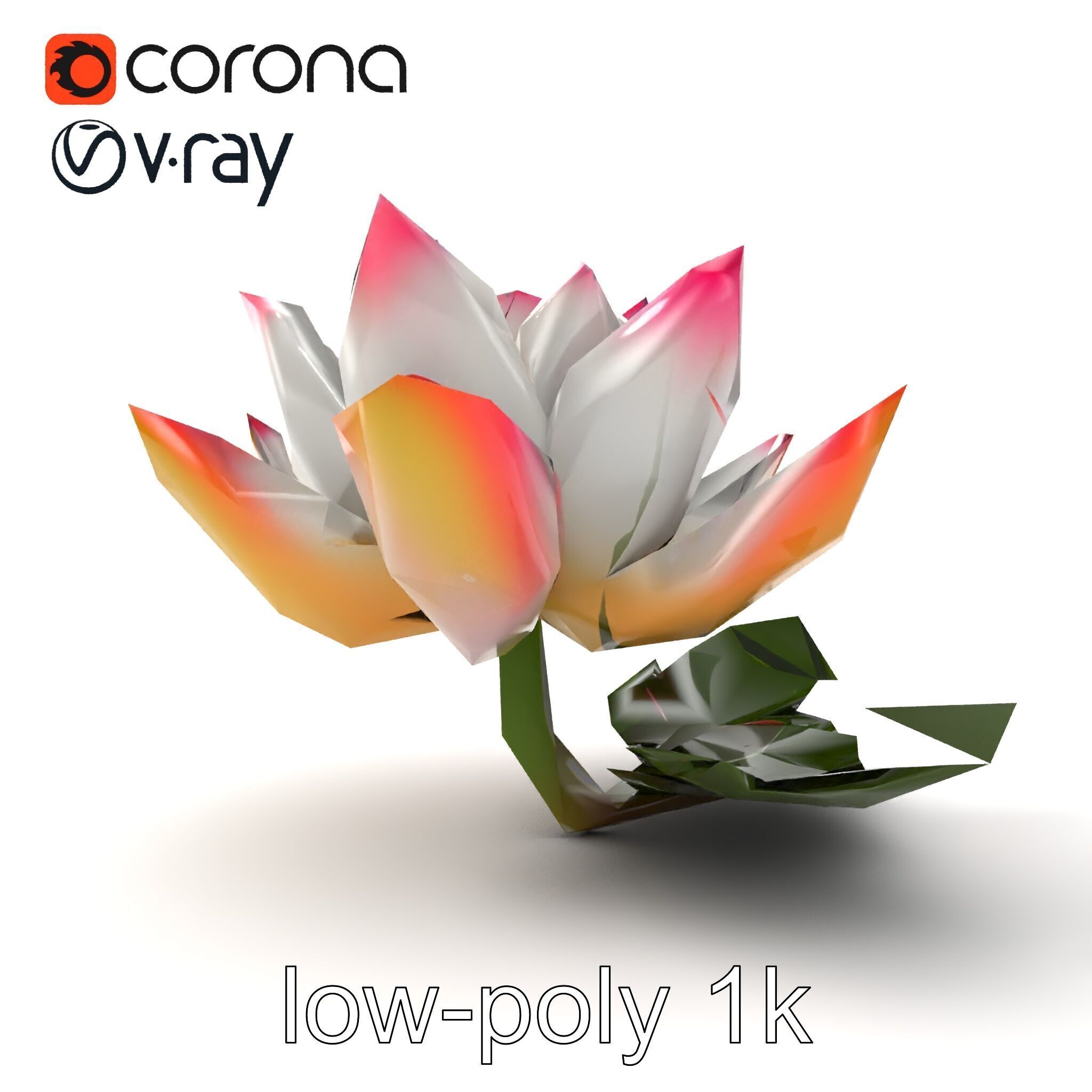 Tiger Water Lily Nymphaea Lotus Detailed Texture Model Pack Low-poly 3D model_15