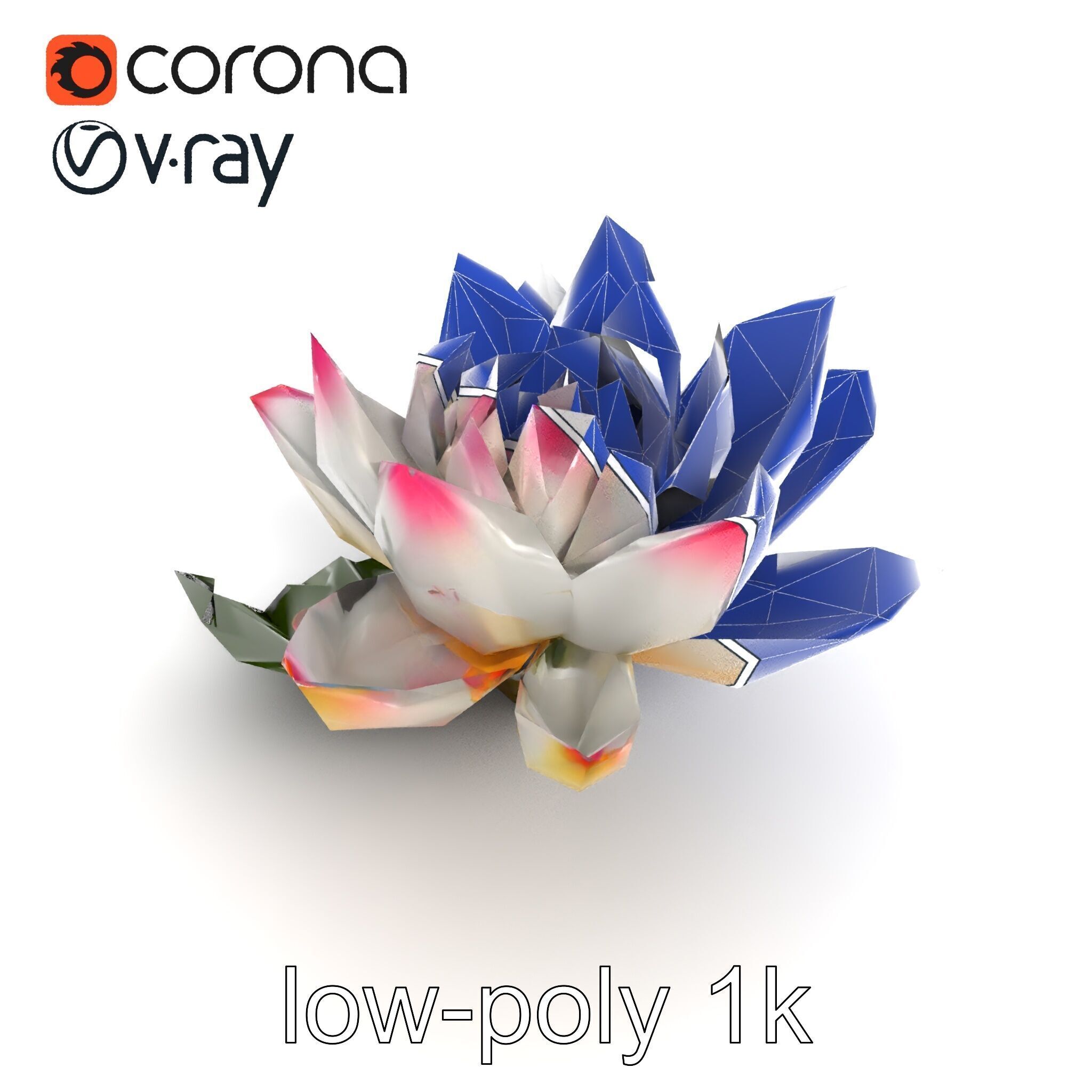 Tiger Water Lily Nymphaea Lotus Detailed Texture Model Pack Low-poly 3D model_24