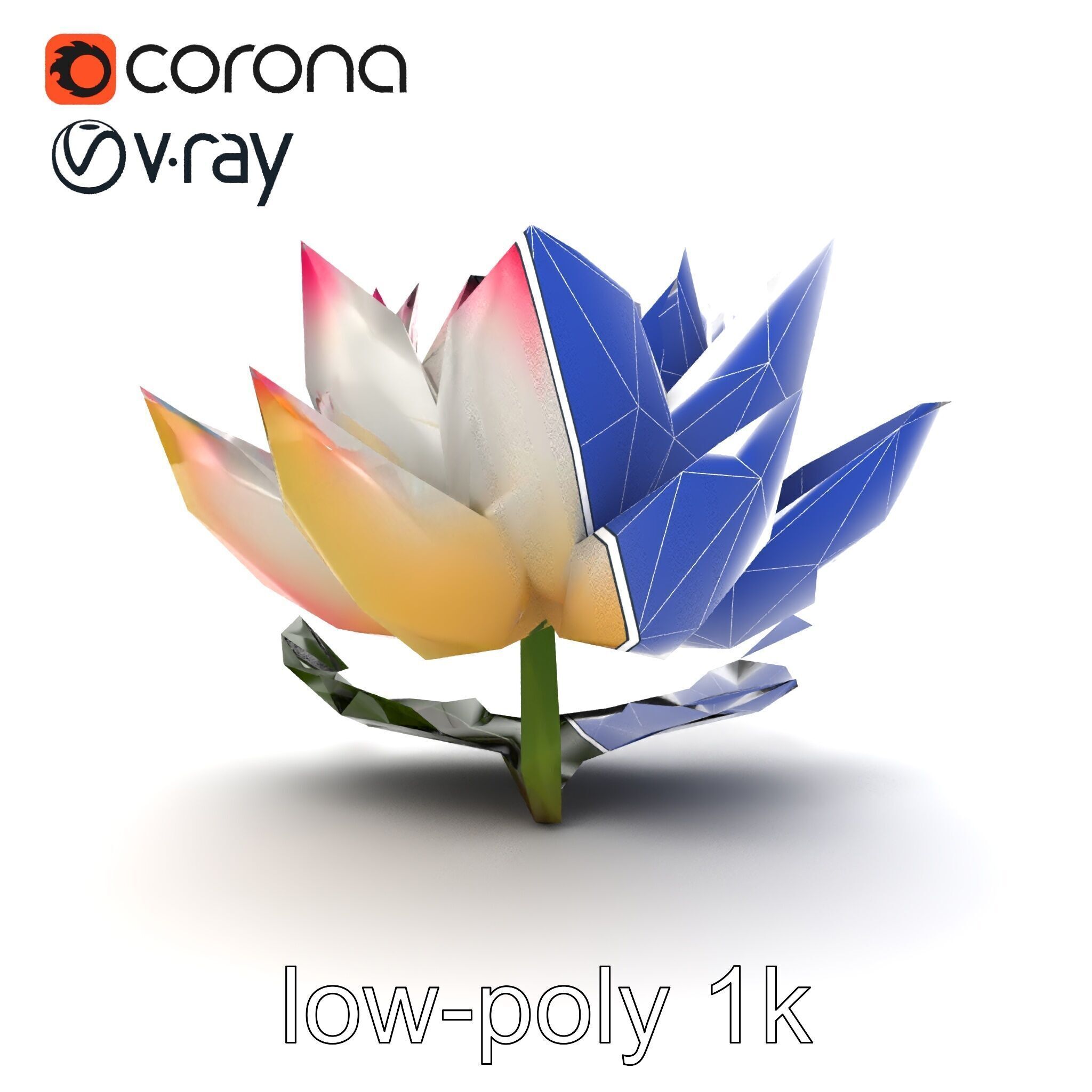 Tiger Water Lily Nymphaea Lotus Detailed Texture Model Pack Low-poly 3D model_19