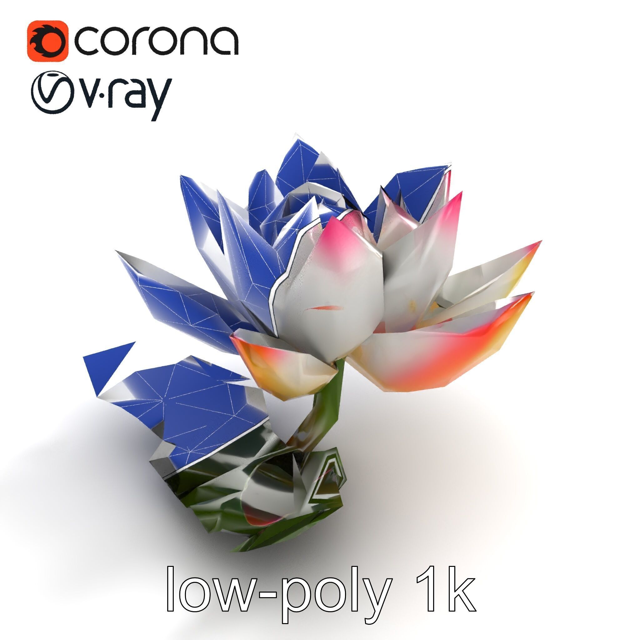 Tiger Water Lily Nymphaea Lotus Detailed Texture Model Pack Low-poly 3D model_27