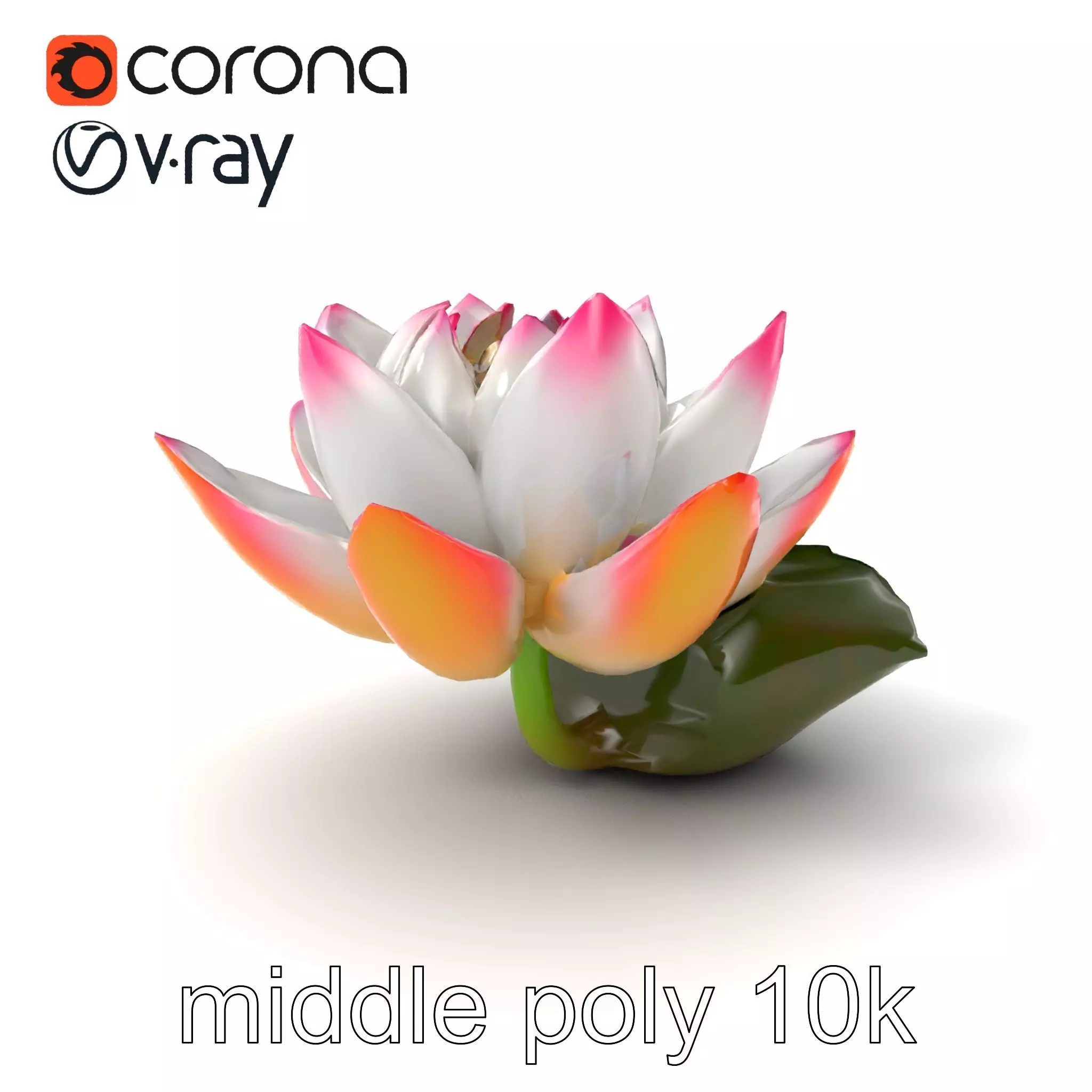 Tiger Water Lily Nymphaea Lotus Detailed Texture Model Pack Low-poly 3D model_0