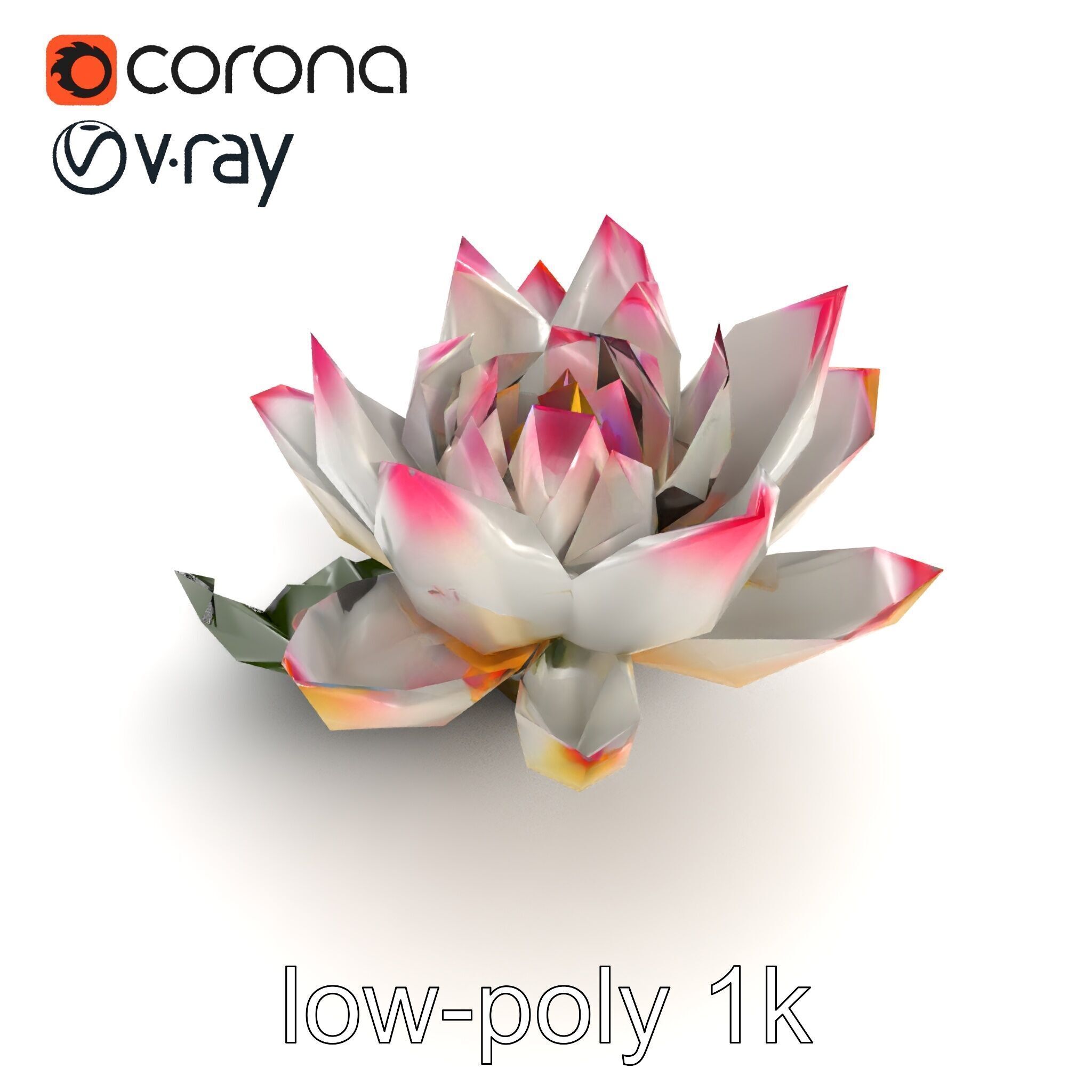 Tiger Water Lily Nymphaea Lotus Detailed Texture Model Pack Low-poly 3D model_18