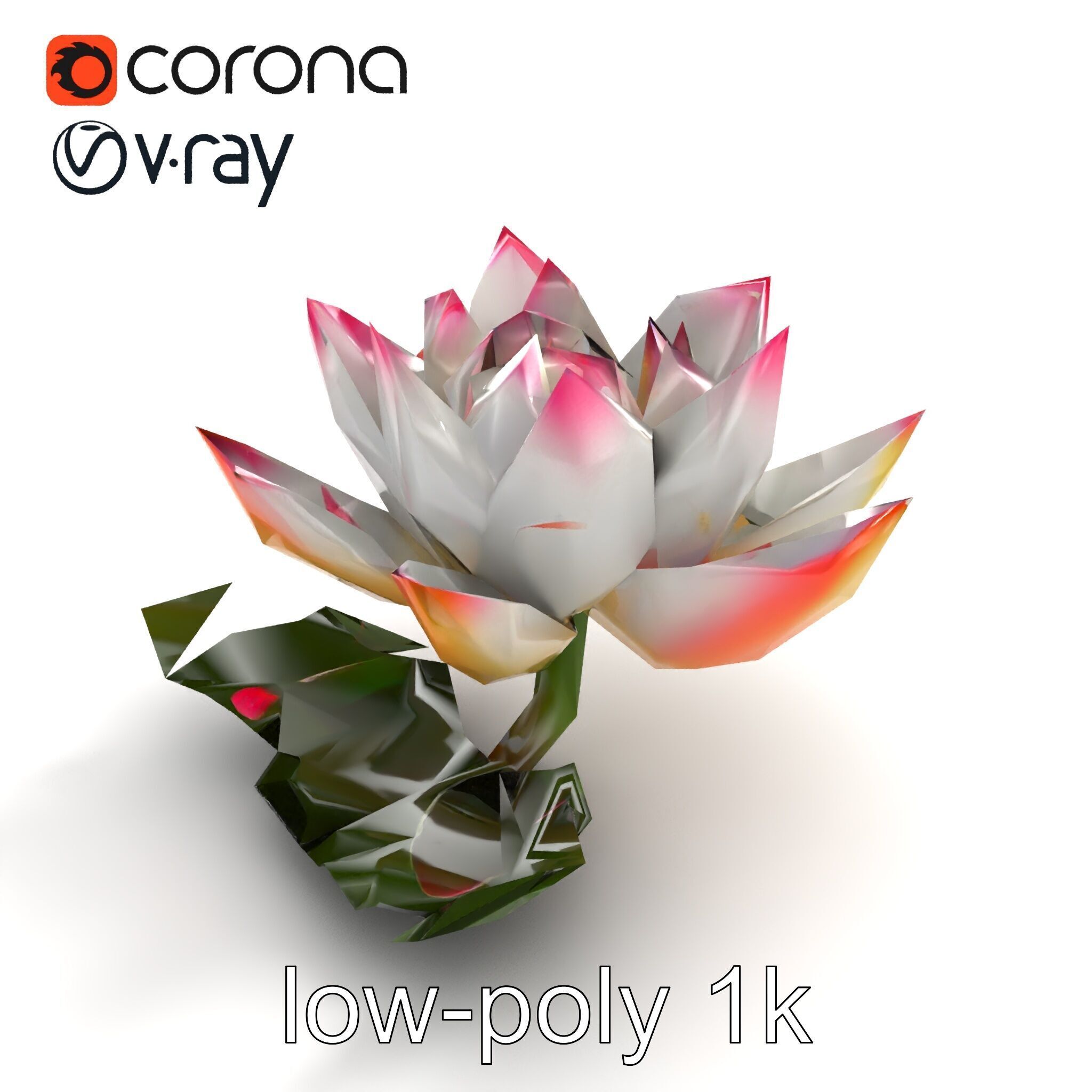 Tiger Water Lily Nymphaea Lotus Detailed Texture Model Pack Low-poly 3D model_9