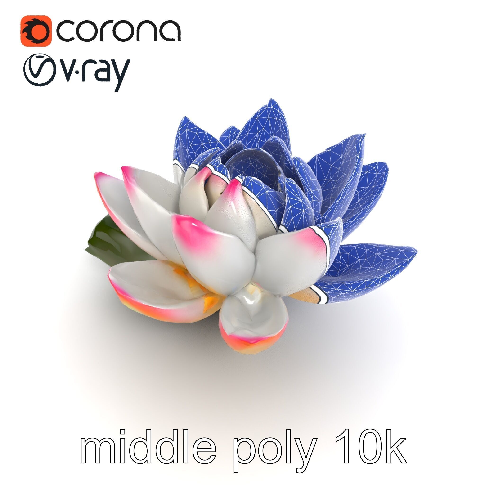 Tiger Water Lily Nymphaea Lotus Detailed Texture Model Pack Low-poly 3D model_11
