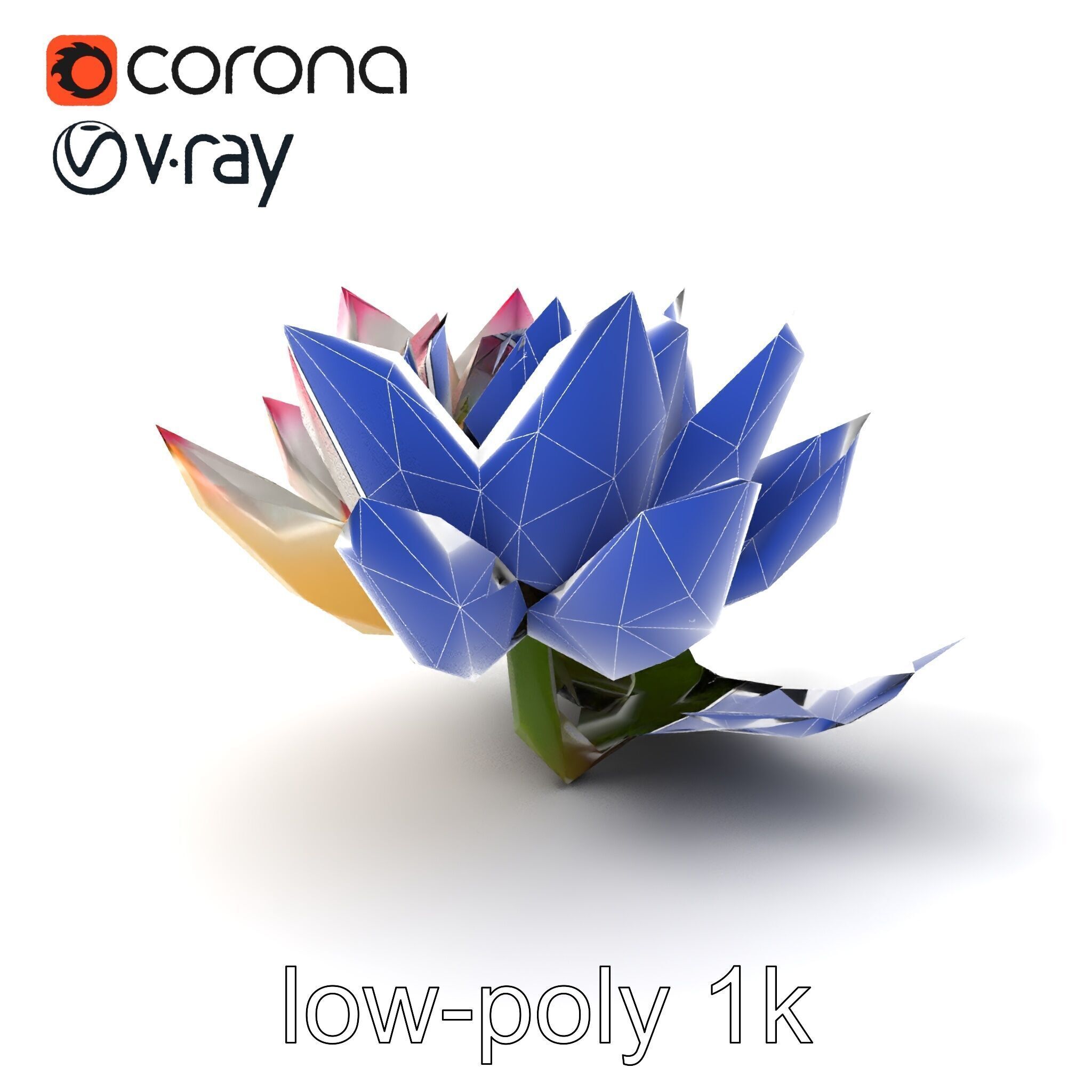 Tiger Water Lily Nymphaea Lotus Detailed Texture Model Pack Low-poly 3D model_7