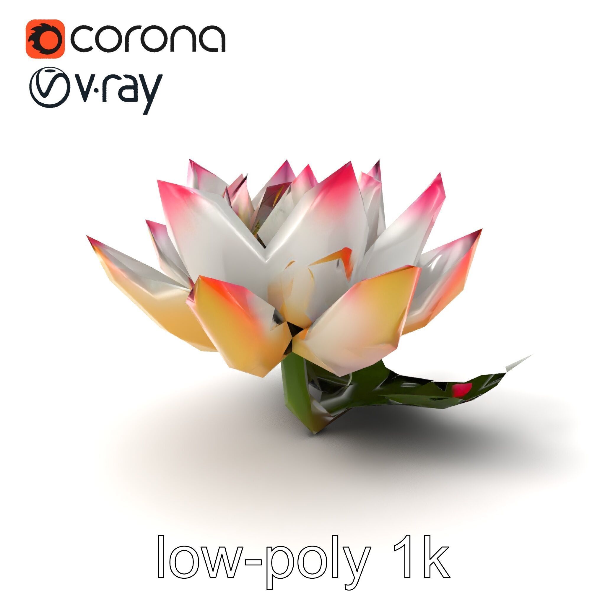 Tiger Water Lily Nymphaea Lotus Detailed Texture Model Pack Low-poly 3D model_5
