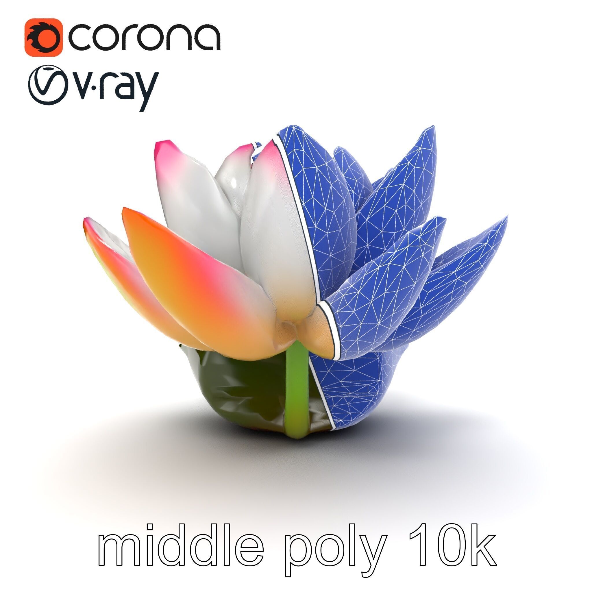 Tiger Water Lily Nymphaea Lotus Detailed Texture Model Pack Low-poly 3D model_16