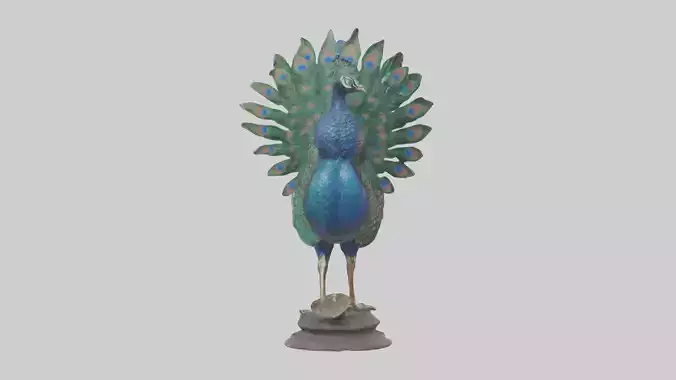Peafowl statue model
