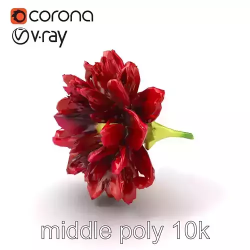 Dianthus Burgundy Petal Velvet Surfaces model pack Low-poly 3D model