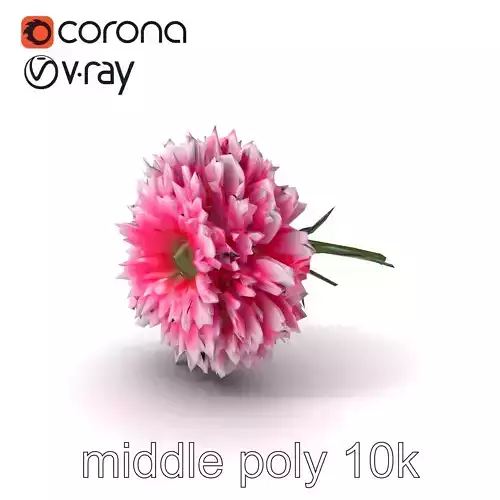 Dianthus Double Flower Intricate Petals model pack Low-poly 3D model
