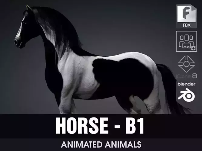 Horse-B1