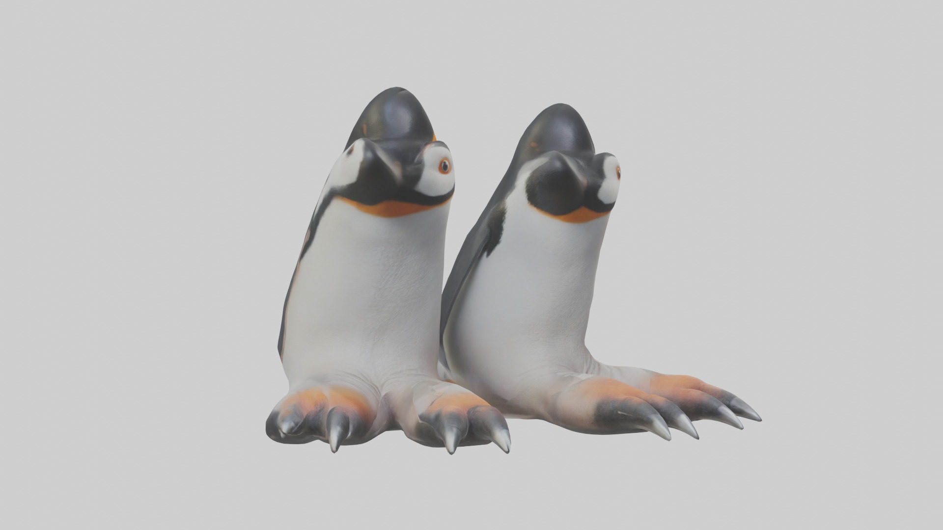 Penguin Feet Model Low-poly 3D model_11