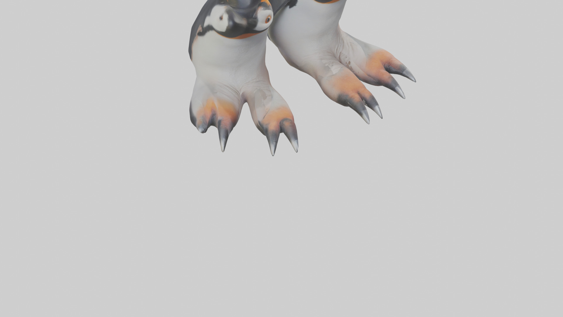 Penguin Feet Model Low-poly 3D model_6
