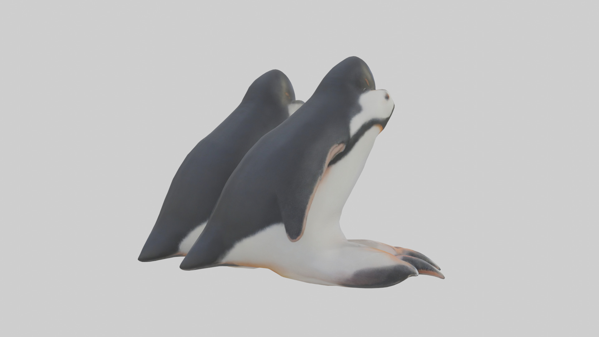 Penguin Feet Model Low-poly 3D model_2