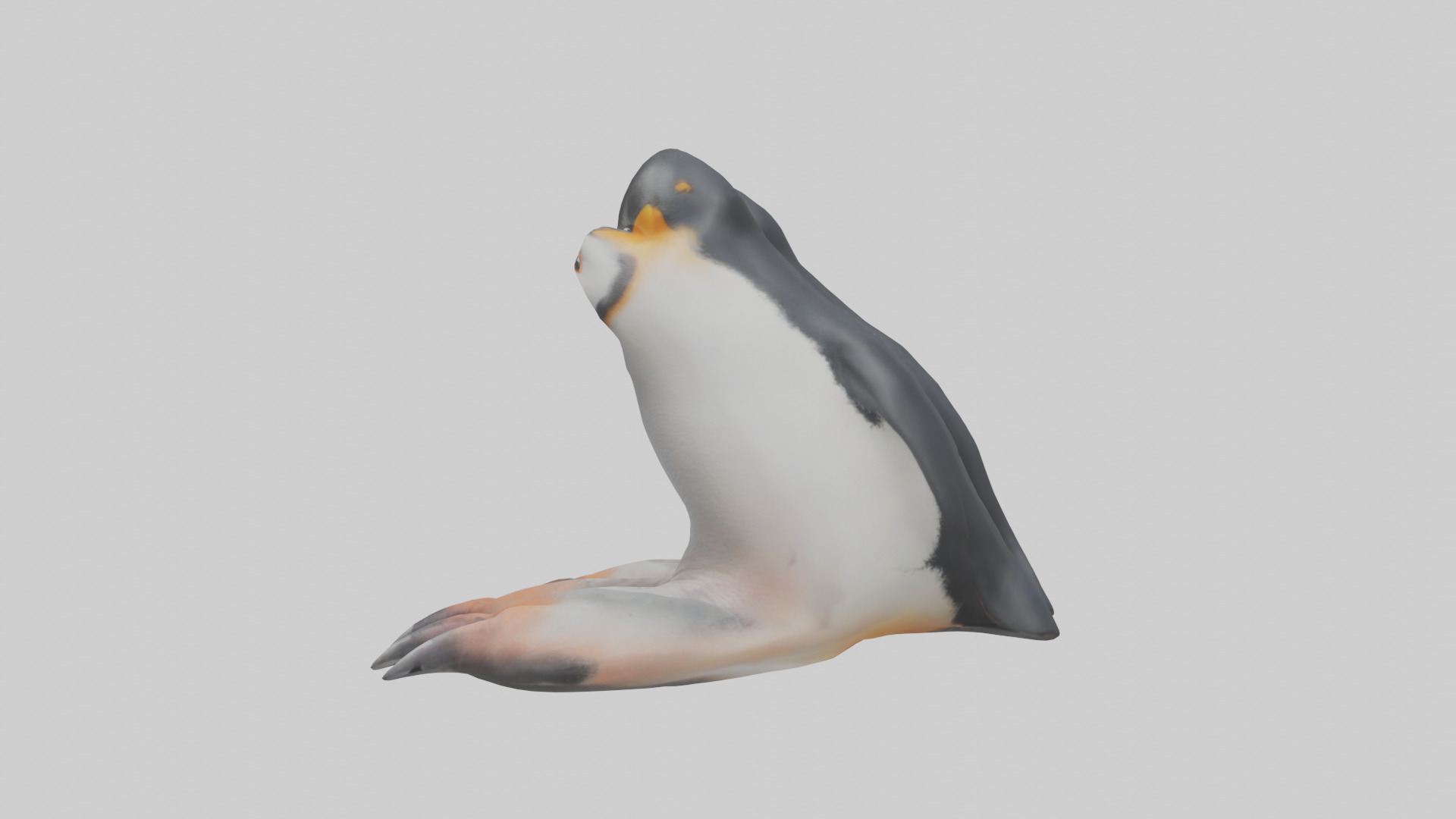Penguin Feet Model Low-poly 3D model_12