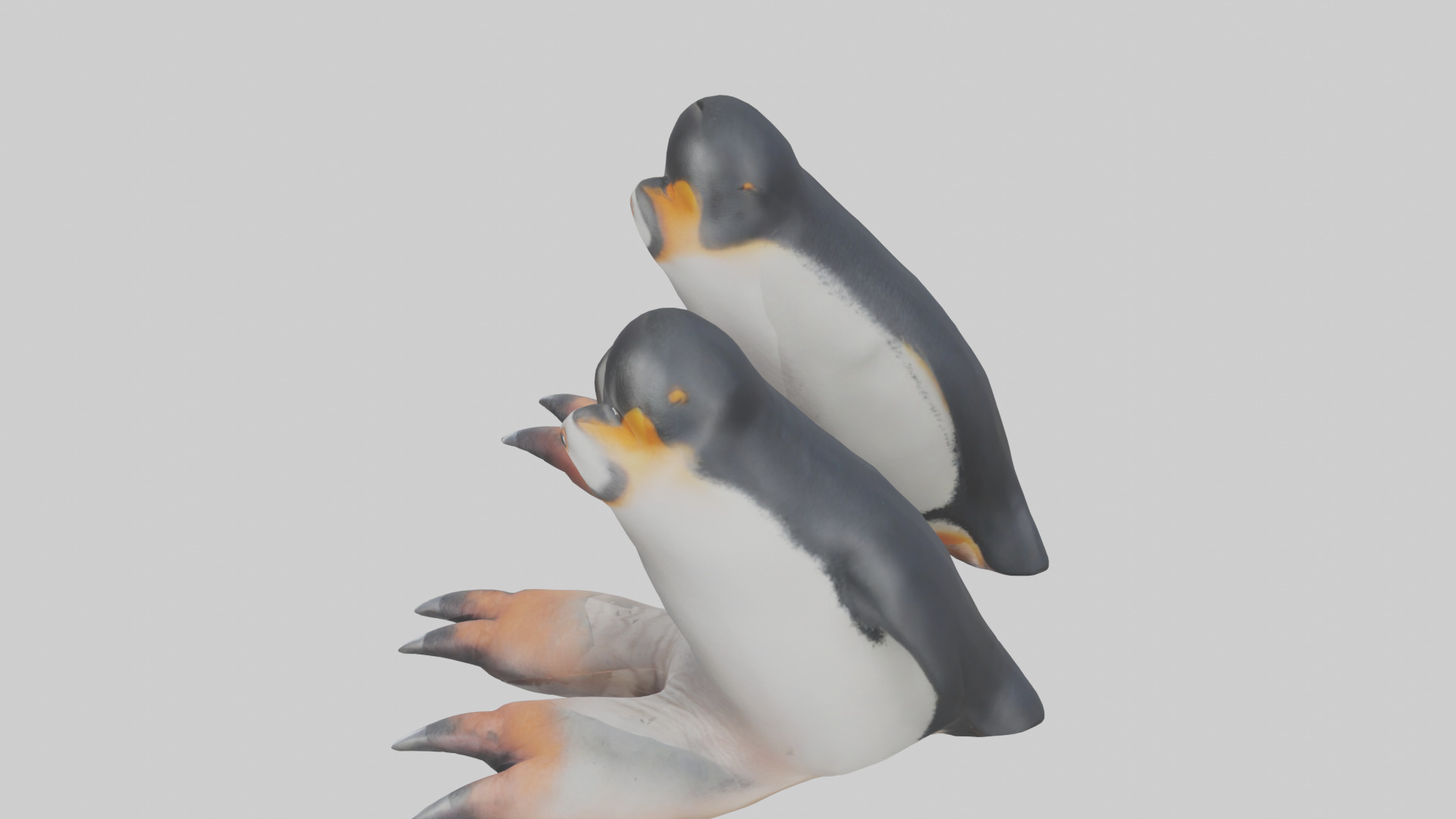Penguin Feet Model Low-poly 3D model_17