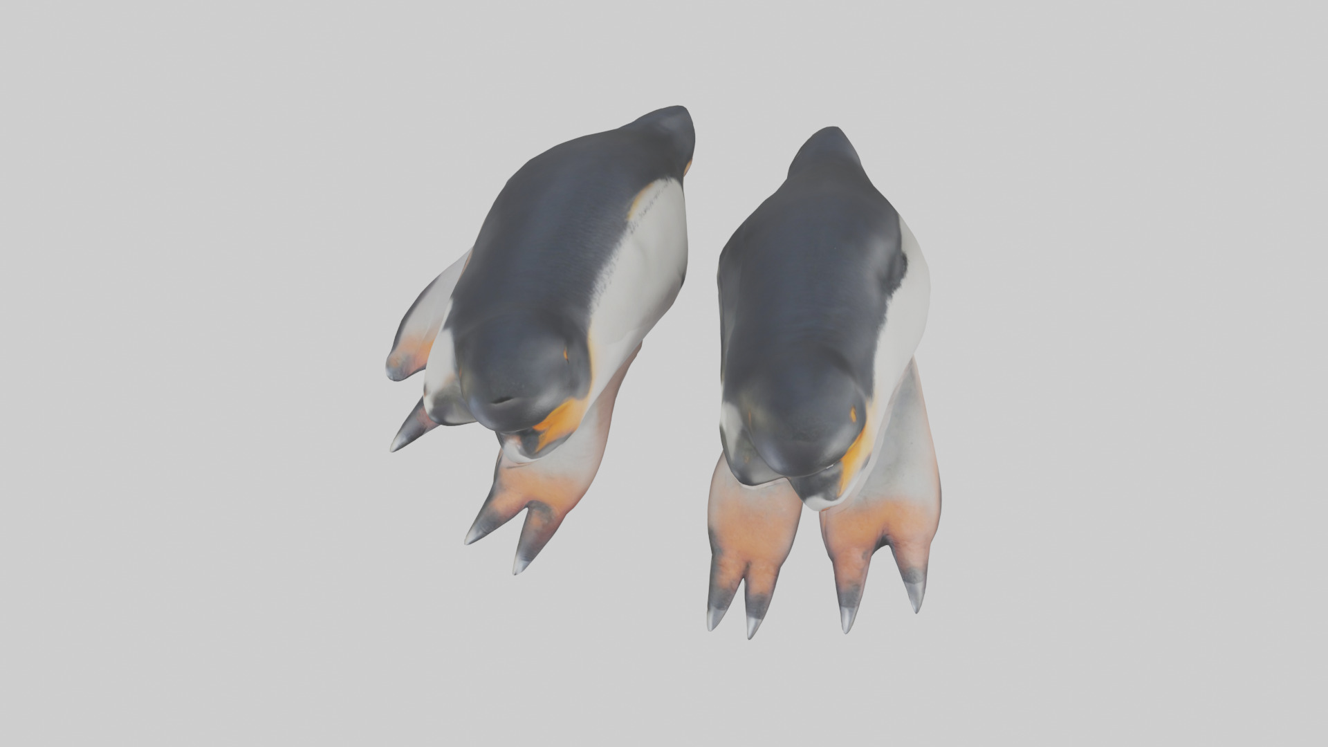 Penguin Feet Model Low-poly 3D model_14