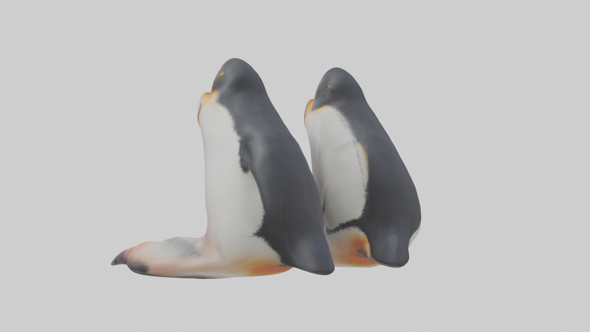 Penguin Feet Model Low-poly 3D model_1