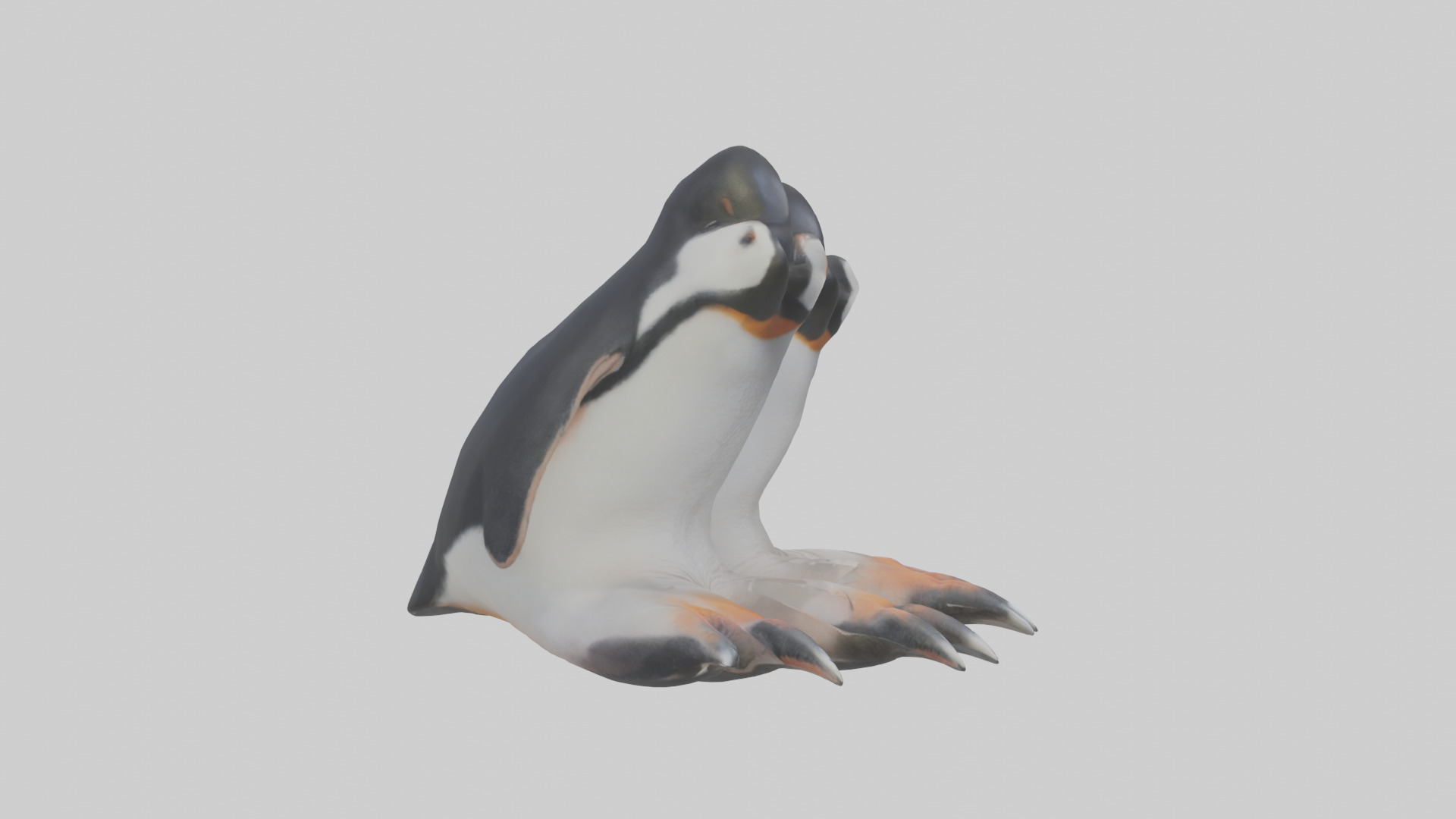 Penguin Feet Model Low-poly 3D model_13